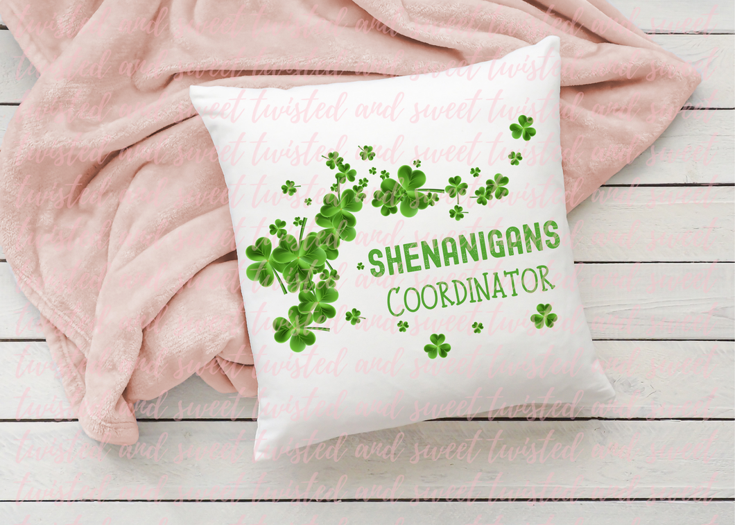 Shenanigans Coordinator - Pillow Cover with insert